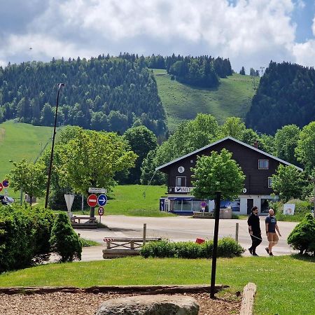 Place Royale Pour 10 A 12 Personnes A 30 Met Des Pistes De Ski Et Vtt Métabief Eksteriør billede