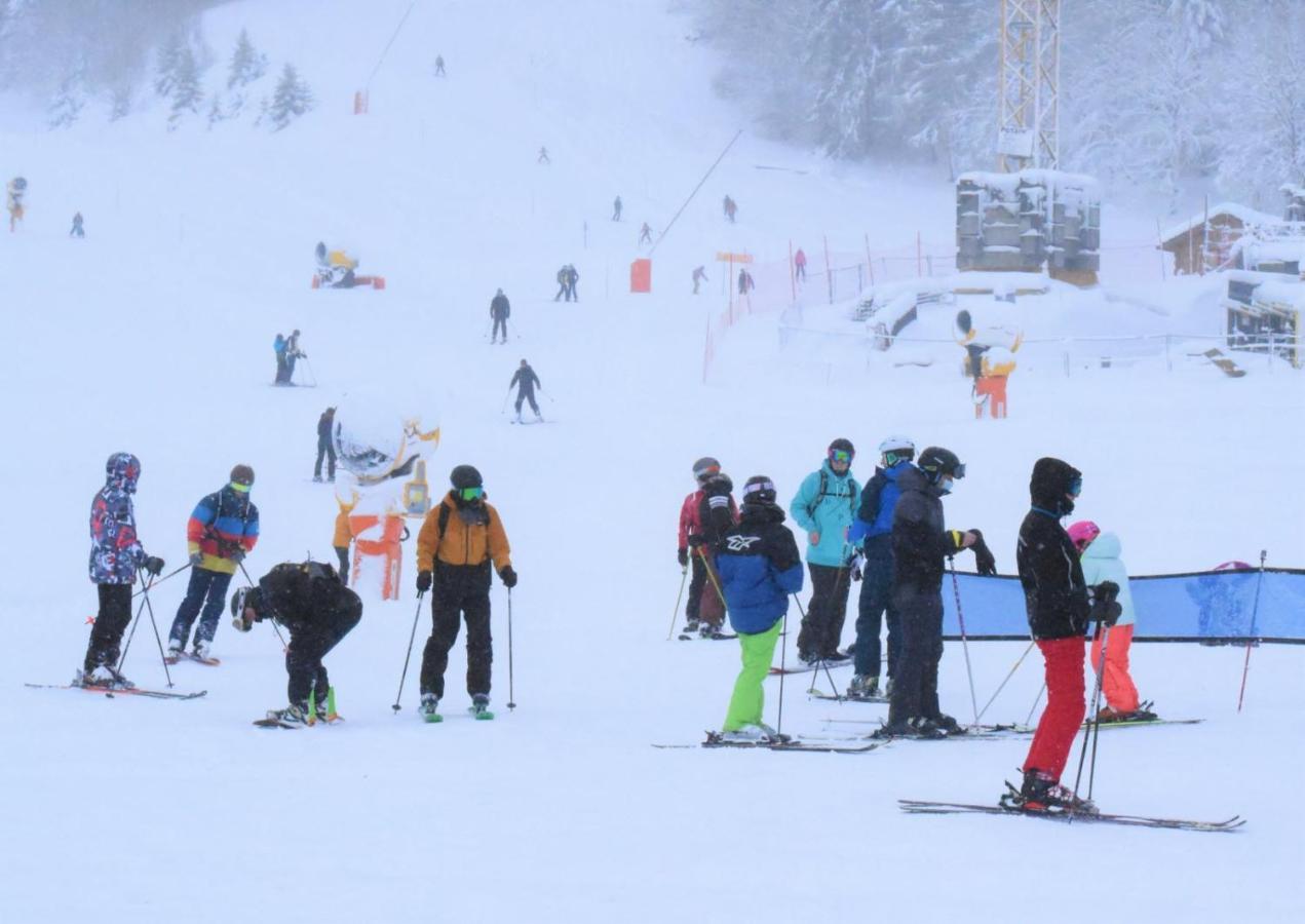 Place Royale Pour 10 A 12 Personnes A 30 Met Des Pistes De Ski Et Vtt Métabief Eksteriør billede