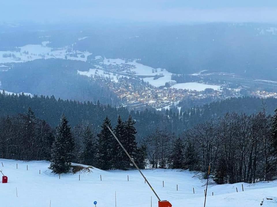 Place Royale Pour 10 A 12 Personnes A 30 Met Des Pistes De Ski Et Vtt Métabief Eksteriør billede