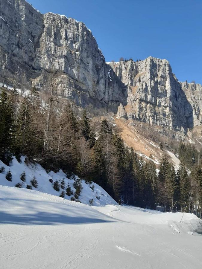 Place Royale Pour 10 A 12 Personnes A 30 Met Des Pistes De Ski Et Vtt Métabief Eksteriør billede
